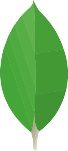 MongoDB logo